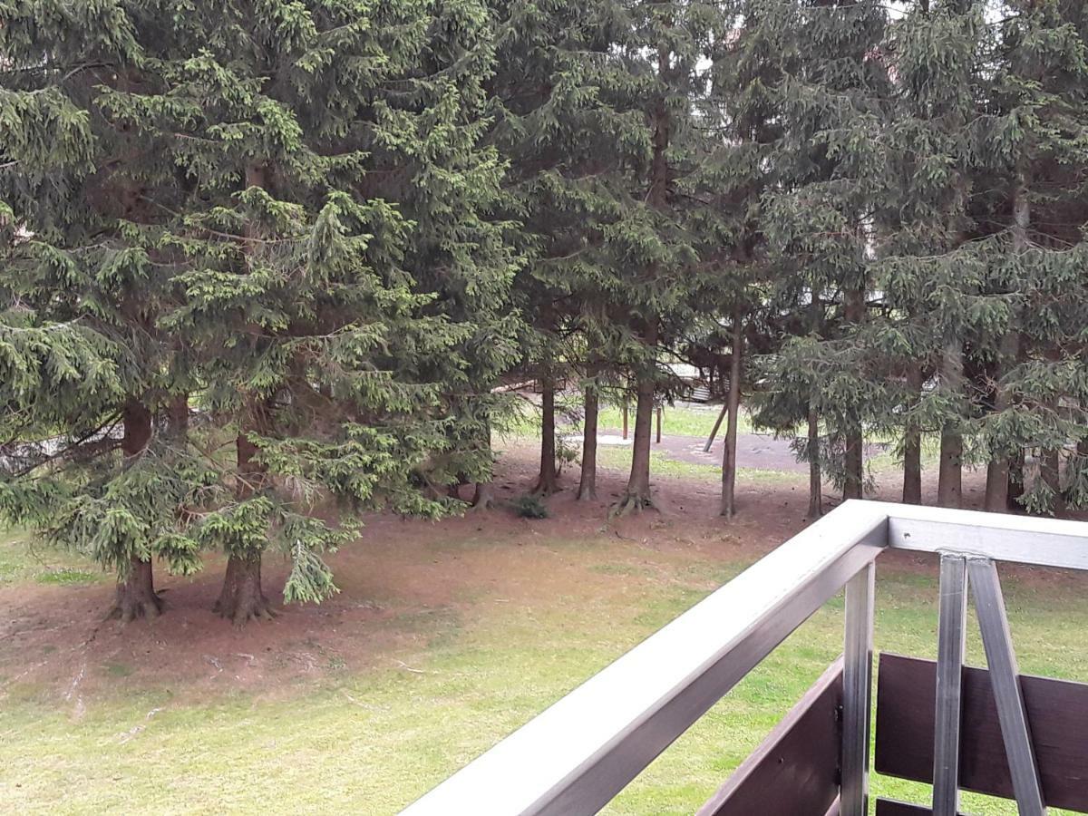 Fewo Therme Inkl Handtuecher Und Bettwaesche Altenau  Εξωτερικό φωτογραφία